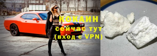 гашик Белоозёрский