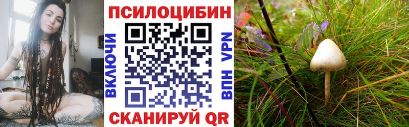 Псилоцибиновые грибы Magic Shrooms Курильск